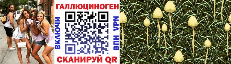 где купить   Кимры  Псилоцибиновые грибы мухоморы 